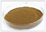 Estrazione verde oliva della foglia di colore di Brown della polvere dell'estratto della pianta dell'oleuropeina 20%