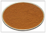 Estratto antiossidante dei rosmarini cosmetici, polvere CAS dell'estratto dei rosmarini 20283 95 5