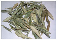 Anti polvere verde oliva naturale infiammatoria dell'estratto della foglia che riduce cattivo colesterolo