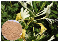 Polvere clorogenica antibatterica dell'estratto del fiore del caprifoglio dell'acido 5%