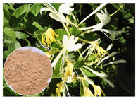 Polvere clorogenica dell'estratto del fiore del caprifoglio dell'acido 5% degli anti estratti naturali batterici del fiore
