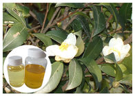 Ingredienti cosmetici naturali dell'olio dell'acido grasso dal seme oleifera della camelia