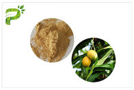 Polvere naturale Mangiferin antinfiammatorio dell'estratto della pianta dalla foglia del mango