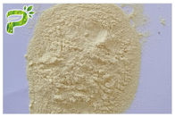 Estratti di erbe in polvere Silybin CAS 22888 del cardo selvatico di latte disordine d'impedimento del fegato 70 6