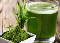 Polvere verde del succo dell'erba di orzo della polvere di salute di 100 maglie per l'integratore alimentare