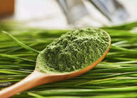 Polvere verde del succo dell'erba di orzo della polvere di salute di 100 maglie per l'integratore alimentare