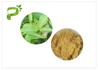 HPLC di 2.0ppm 60 Mesh Green Health Powder con i polifenoli dell'più alto tè