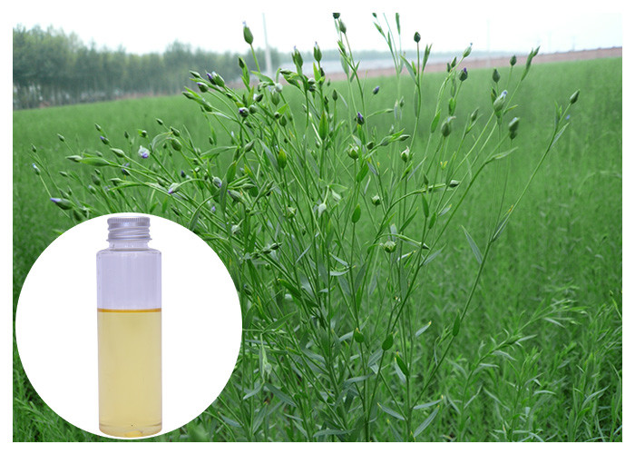 L'olio di semi di lino organico alfa dell'acido linolenico, olio di semi di lino completa 45 - 60%