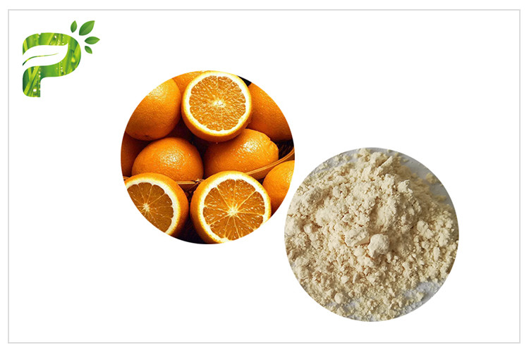 Polvere CAS 520 dell'esperidina di antiossidazione estratto Sinensis di citrus aurantium dell'estratto di arancia 26 2