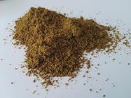 Estratto naturale del sedano degli integratori alimentari della polvere del seme per il rapporto 10/1 di gotta