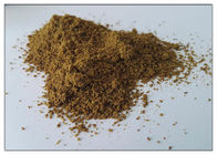 Polvere dell'estratto del seme di sedano della polvere dell'estratto del seme della pianta per la gotta per l'integratore alimentare