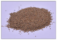 Polvere dell'estratto del sedano di 80 maglie, estratto di apium graveolens del seme di sedano per l'artrite