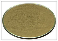 CAS 77 polvere della foglia di 52 1 rosmarini, estratto acido della foglia dei rosmarini di Ursolic