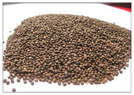 Migliorando l'olio Omega liquido 3 di perilla frutescens di memoria dall'ALA del seme 60%