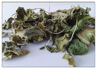 Polvere asiatica di Centella dell'estratto di erbe cosmetico della pianta con Madecassoside 90% CAS 34540 22 2