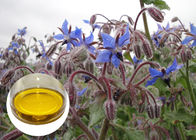 Ossidazione organica di Omega 6 GLA degli oli vegetali del seme della borragine anti per eczema