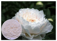 Rinnovamento della polvere cosmetica naturale di Lactiflora di Paeonia di colore del bianco sporco degli ingredienti della pelle