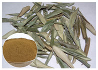 Estratto verde oliva puro della foglia di Hydroxytyrosol 20%, polvere verde oliva CAS della foglia 32619 42 4