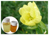 Acido linolenico degli integratori alimentari dell'olio dell'enagra di gamma naturale di Omega 6 per la farmacia