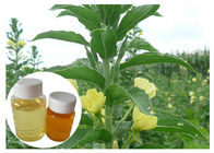 Olio giallo naturale dell'enagra degli integratori alimentari GLA 10% della menopausa delle donne