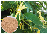 Anti estratto infiammatorio del fiore del caprifoglio, estratto acido clorogenico di lonicera japonica di 5%