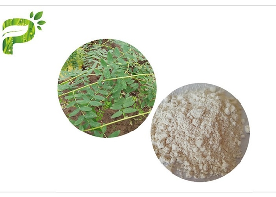CAS 84687 43 estratto Astragaloside IV 98% di Membranaceus di 4 astragali antinvecchiamento