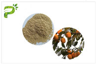 Polvere Ursolic CAS acido 77 dell'estratto della pianta della foglia del cachi 52 1 per nutrizione di sport