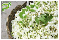 L'energia naturale del germoglio di fiore completa la rutina della polvere di vitamina P dell'estratto di sophora japonica