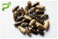 Estratto naturale del seme del cardo selvatico di latte dell'ingrediente della pianta della polvere giallo-chiaro dell'estratto per la medicina del fegato