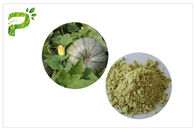 Proteina naturale 50% 60% del vegano della polvere della proteina del seme di zucca degli integratori alimentari di fonte della pianta