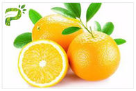 Anti esperidina fungosa/batterica CAS di Sinensis dell'estratto di citrus aurantium dell'estratto di arancia 520 26 2
