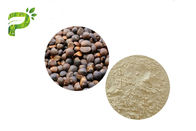 Saponine oleifera del tè dell'estratto del seme di Abel della camelia cosmetica naturale dell'ingrediente per l'emulsionante
