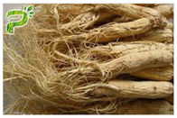 Panax ginseng di erbe degli estratti in polvere ingrediente di ginsenosidi per l'integratore alimentare