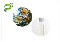 olio contento del minore di Melaleuca Cajuputi dell'olio di aromaterapia degli oli essenziali dell'albero di 60% - di 50%