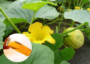 Protezione pressata a freddo della prostata dell'olio della zucca della pianta del commestibile dell'olio naturale dell'estratto