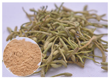 5%, 25% Lonicera japonica Estratto di polvere di fiore di melone