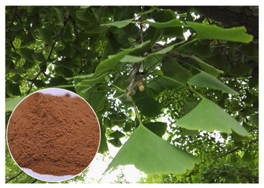 L'estratto naturale della pianta impedisce il grado del PE dell'estratto della foglia del ginkgo biloba delle malattie cardiovascolari