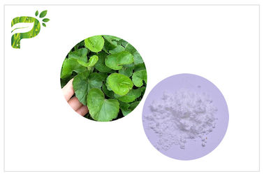 CAS 34540 un estratto asiatica di 22 2 Centella, estratto della cola di Madecassoside Gotu
