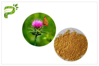 Estratto naturale del seme del cardo selvatico di latte dell'ingrediente della pianta della polvere giallo-chiaro dell'estratto per la medicina del fegato