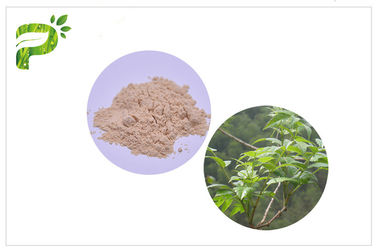 Estratto Dihydromyricetin/DHM di Ampelopsis Grossedentata per le sindromi CAS 27200 di postumi di una sbornia 12 0